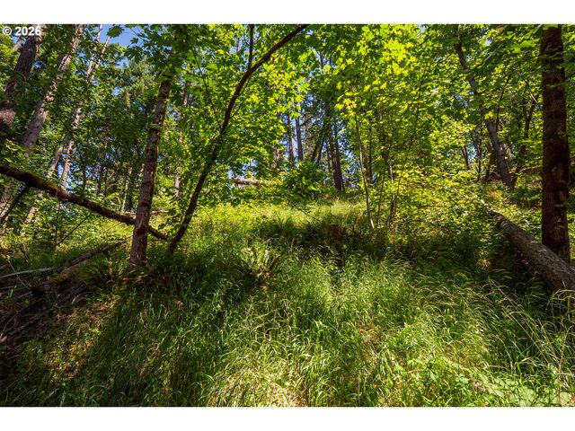 S 70th St, Springfield, OR 97478