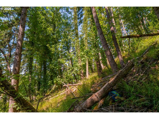 S 70th St, Springfield, OR 97478