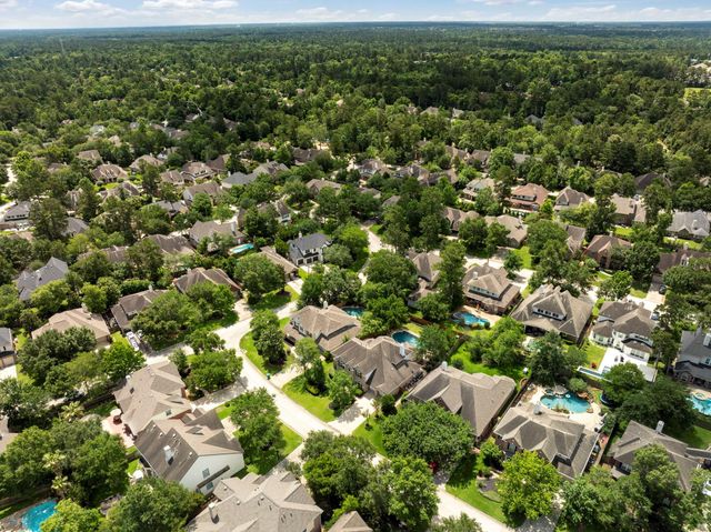 7 Renoir Trail Place, The Woodlands, TX 77382