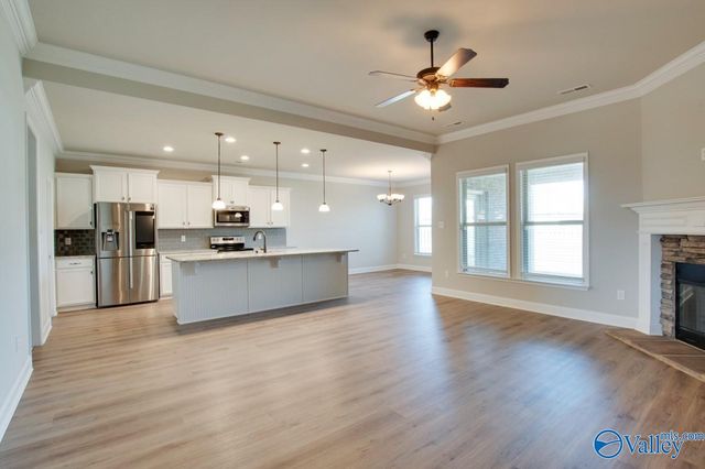 602 Penny Jar Lane, Madison, AL 35757