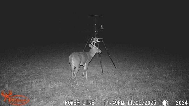 TBD County Road 1130, Cumby, TX 75453
