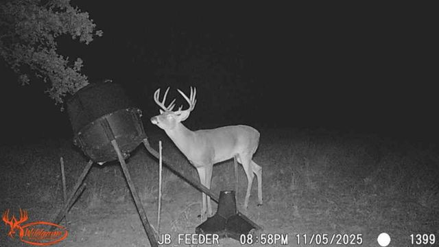 TBD County Road 1130, Cumby, TX 75453