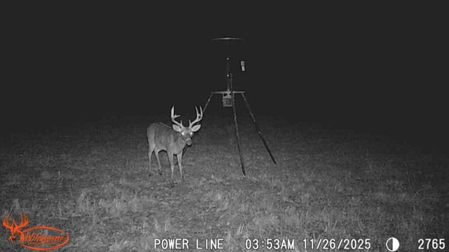 TBD County Road 1130, Cumby, TX 75453
