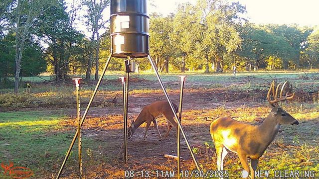 TBD County Road 1130, Cumby, TX 75453