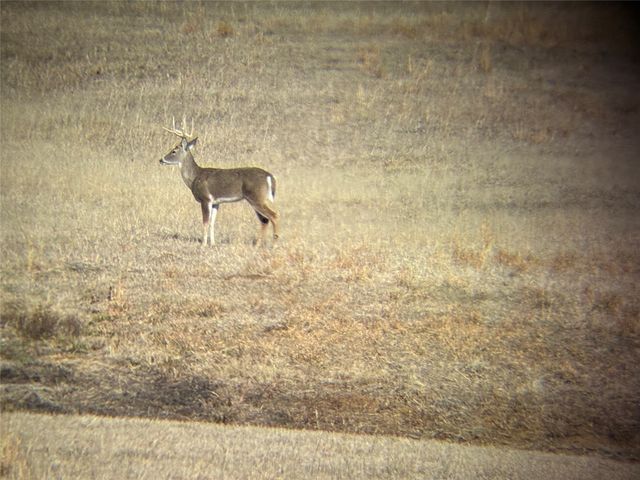 TBD County Road 1130, Cumby, TX 75453