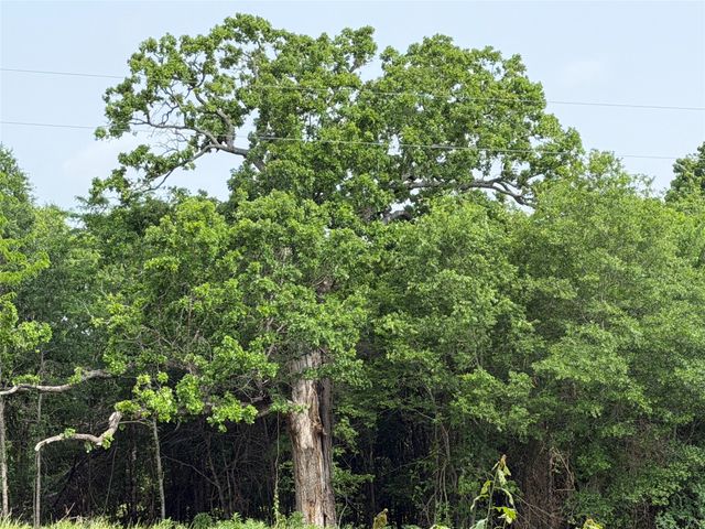 TBD County Road 1130, Cumby, TX 75453