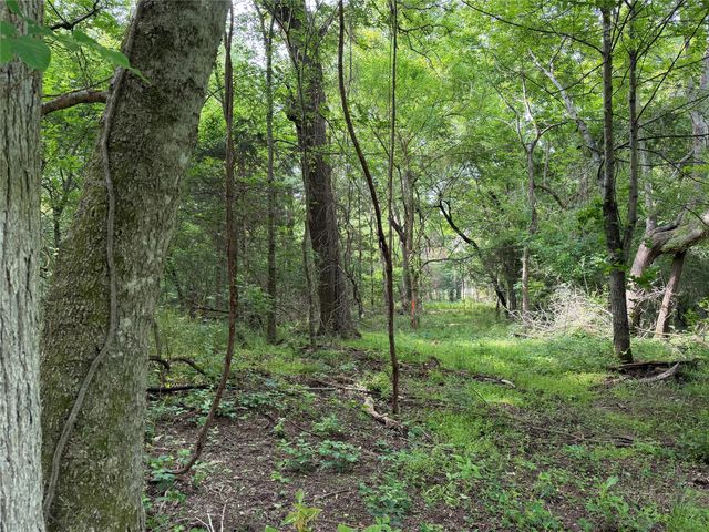 TBD County Road 1130, Cumby, TX 75453