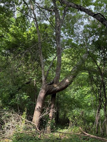 TBD County Road 1130, Cumby, TX 75453