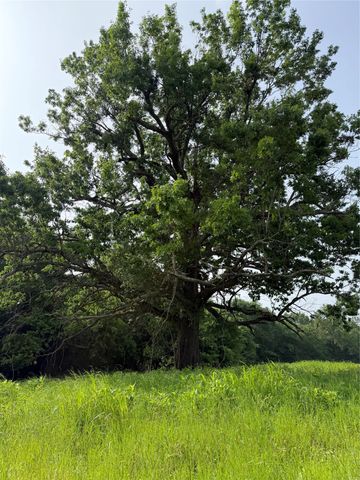 TBD County Road 1130, Cumby, TX 75453