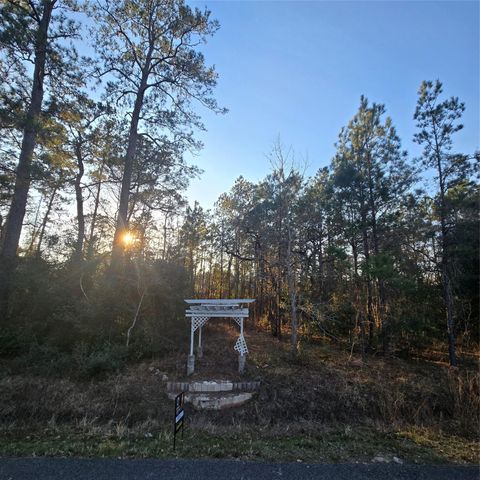 20135 Belleau Wood Drive, Houston, TX 77338