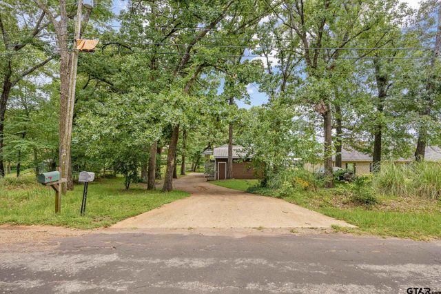 17414 Lakeview Dr, Flint, TX 75762