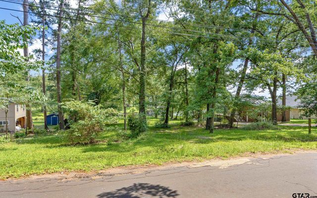 17414 Lakeview Dr, Flint, TX 75762