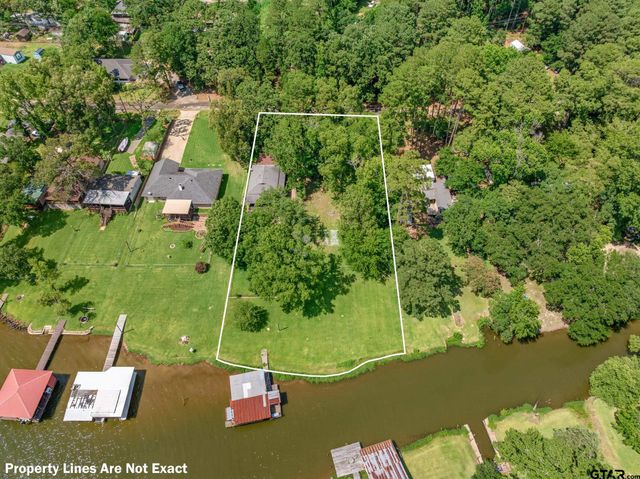 17414 Lakeview Dr, Flint, TX 75762