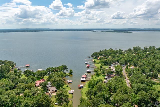 17414 Lakeview Dr, Flint, TX 75762