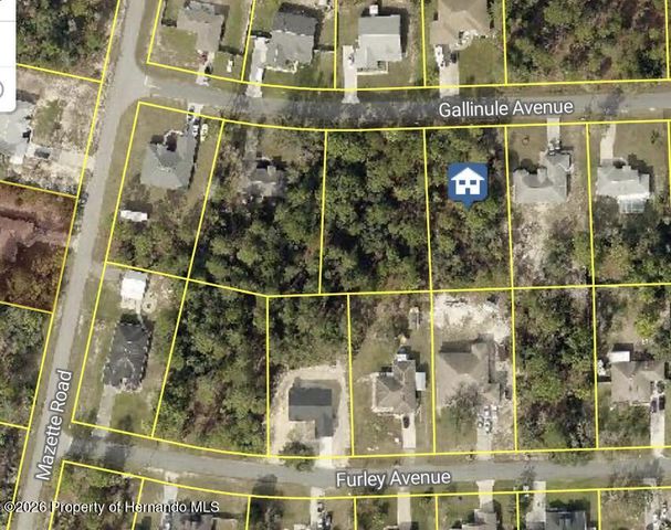 11272 Gallinule Avenue, Weeki Wachee, FL 34613