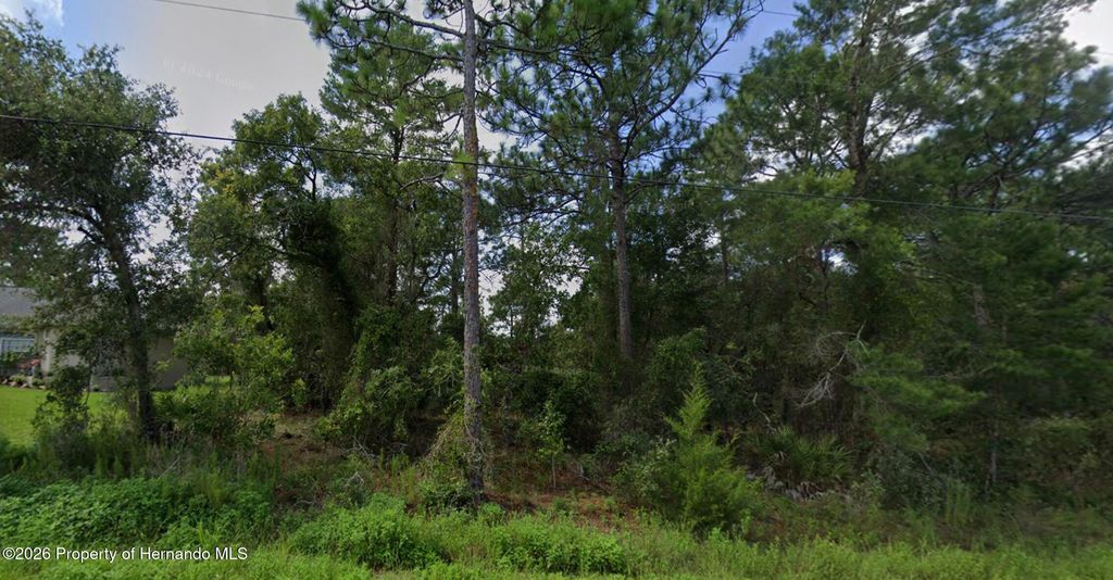 11272 Gallinule Avenue, Weeki Wachee, FL 34613