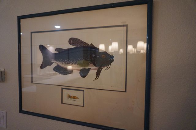 364 Wimbledon Drive 2, Branson, MO 65616