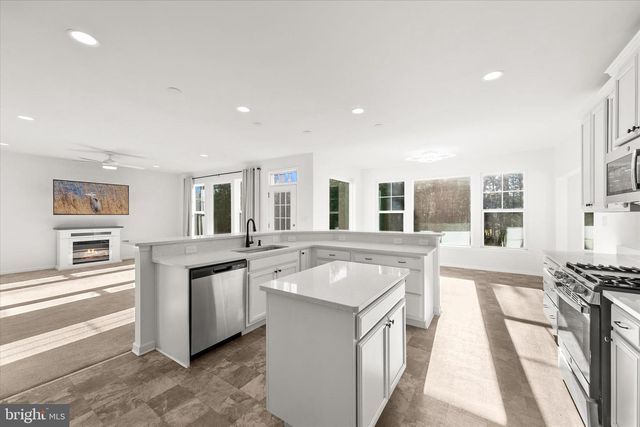 30309 PIPING PLOVER DR, Millsboro, DE 19966