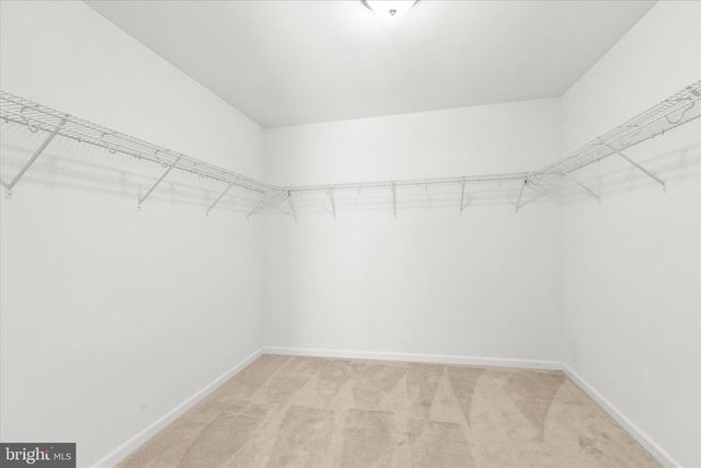 30309 PIPING PLOVER DR, Millsboro, DE 19966