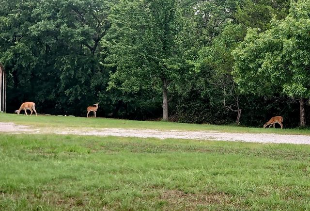 137 Oakview Road, Gainesville, TX 76240