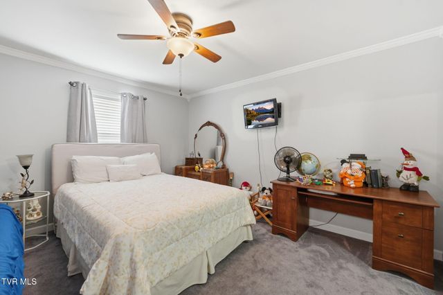 134 Ovalwood Drive, Johnson City, TN 37615