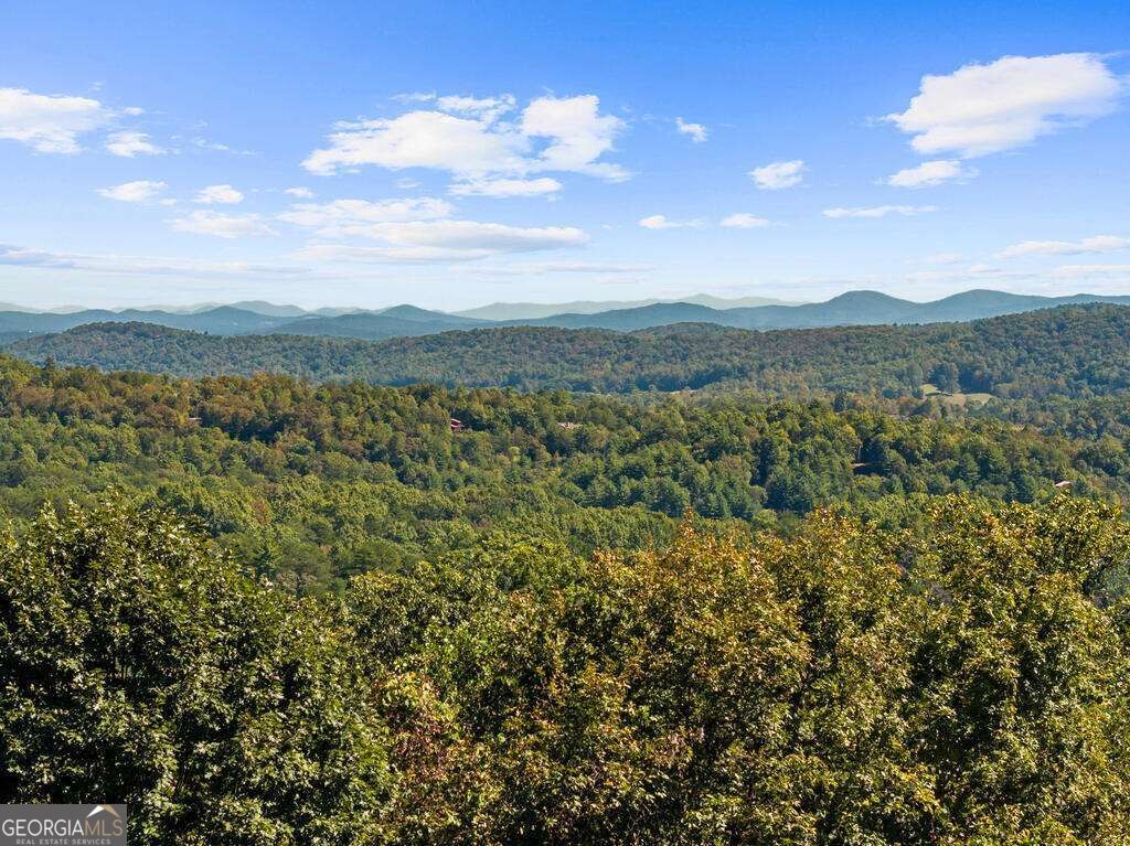 929 Overlook Road, Blue Ridge, GA 30513 — photo 3