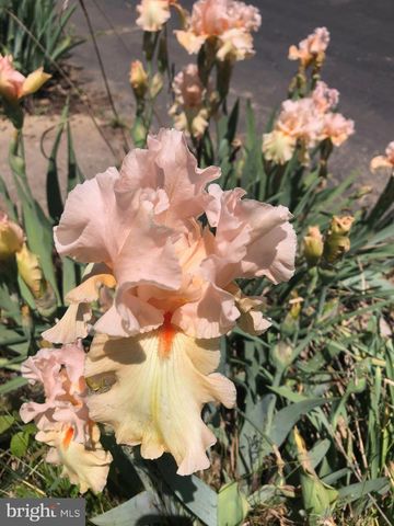 21918 JEFFERSON BLVD, Smithsburg, MD 21783