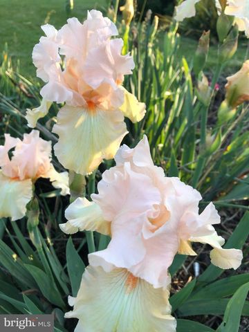 21918 JEFFERSON BLVD, Smithsburg, MD 21783