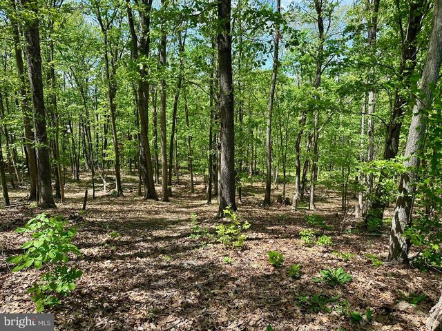 125 ENDER AVE, Moorefield, WV 26836