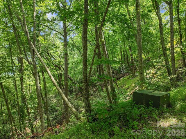 9999 Glen Eagles Lane 177 & 178, Mills River, NC 28759