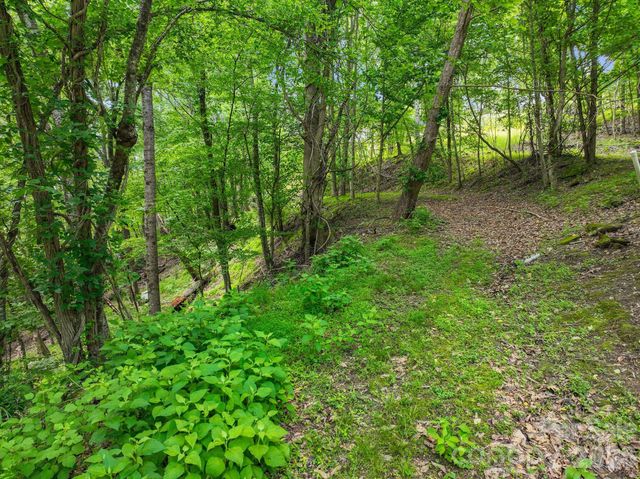 9999 Glen Eagles Lane 177 & 178, Mills River, NC 28759