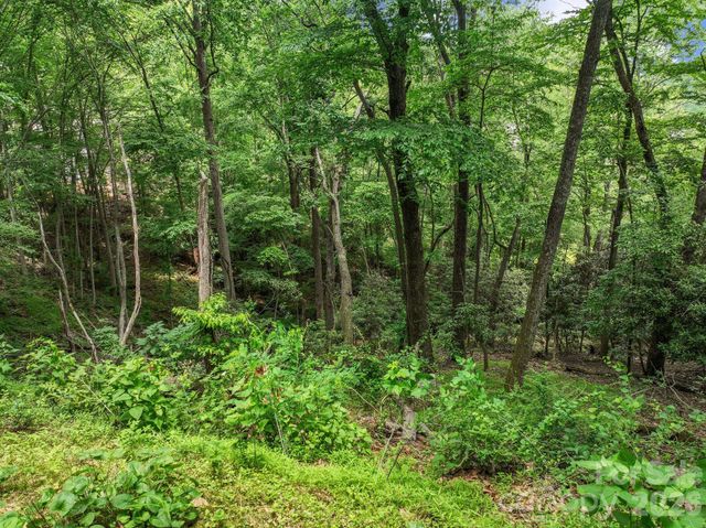9999 Glen Eagles Lane 177 & 178, Mills River, NC 28759