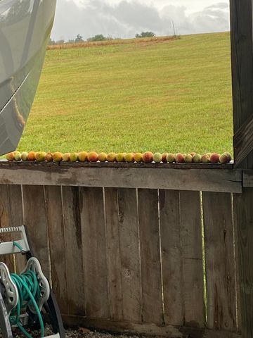 432 Meadow View Drive, Nancy, KY 42544