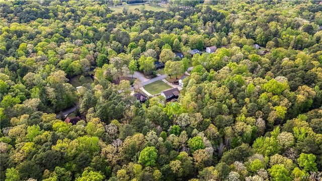 12727 Oak Forest, Lake View, AL 35111