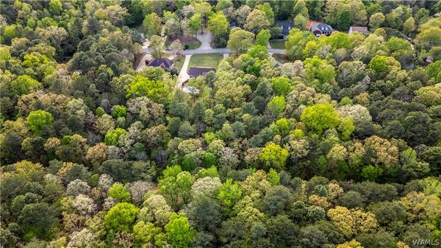 12727 Oak Forest, Lake View, AL 35111