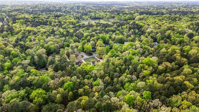 12727 Oak Forest, Lake View, AL 35111