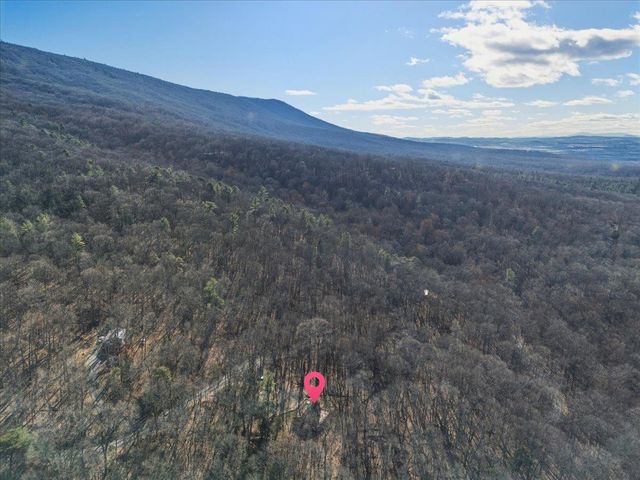 447 BLACKBERRY LN, New Market, VA 22844