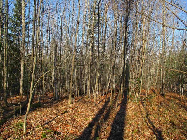 00 Farm Road, Lowell, VT 05847