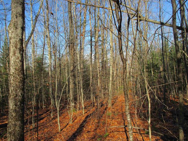 00 Farm Road, Lowell, VT 05847