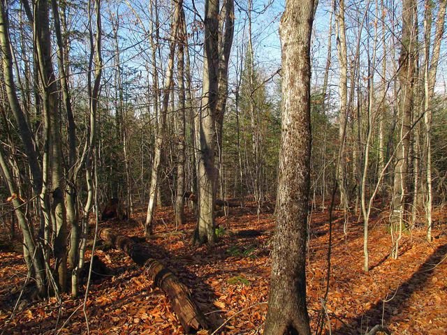 00 Farm Road, Lowell, VT 05847