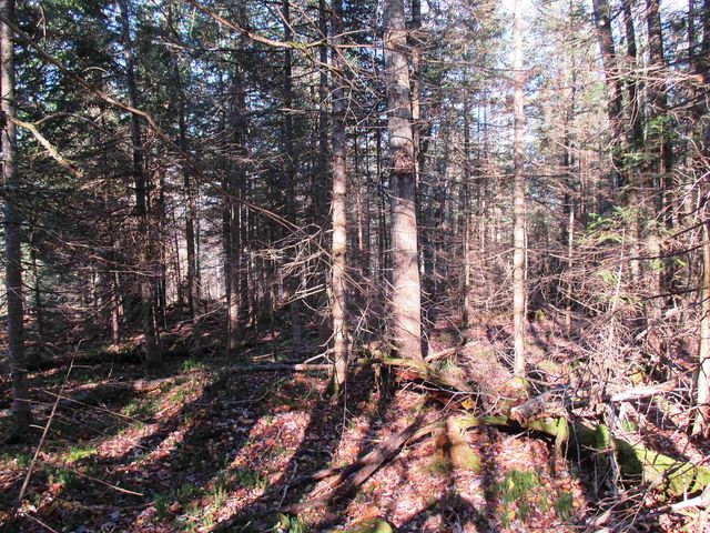 00 Farm Road, Lowell, VT 05847