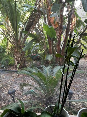 1505 LENNOX ROAD E 1505, Palm Harbor, FL 34683