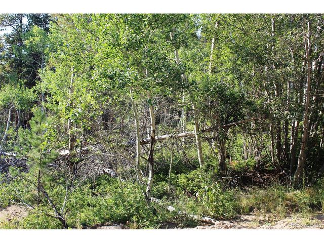 28 Sunflower Ln, Black Hawk, CO 80422