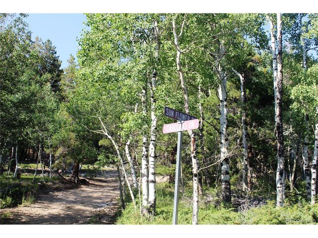 28 Sunflower Ln, Black Hawk, CO 80422