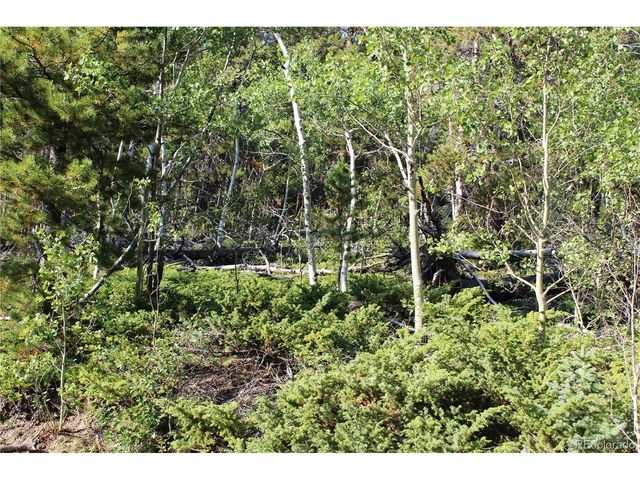 28 Sunflower Ln, Black Hawk, CO 80422