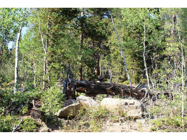 28 Sunflower Ln, Black Hawk, CO 80422