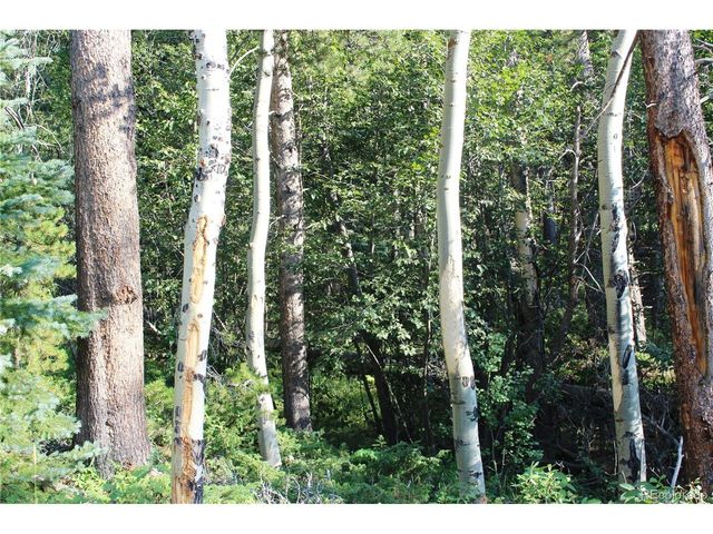 28 Sunflower Ln, Black Hawk, CO 80422