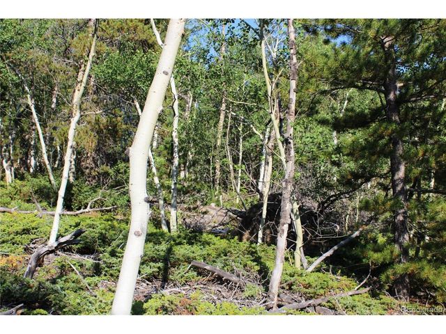 28 Sunflower Ln, Black Hawk, CO 80422
