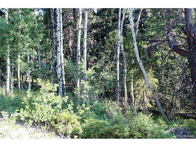 28 Sunflower Ln, Black Hawk, CO 80422