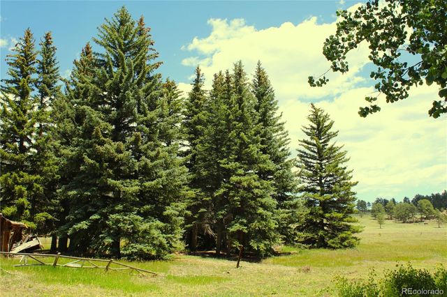 340 CR90, Lake George, CO 80827